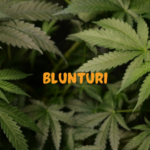 blunturi