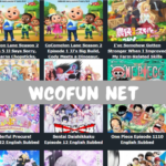 WCOFun Net