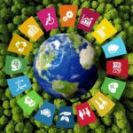 Environmental Health and Sustainability