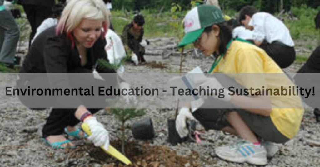 Environmental Education - Teaching Sustainability!