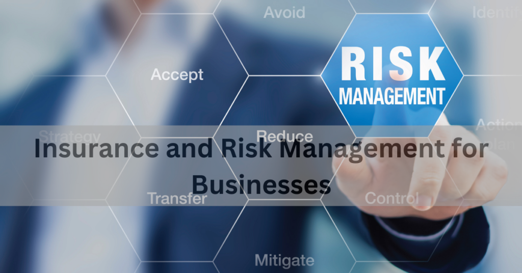 Insurance and Risk Management for Businesses