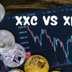 XXC vs XMR