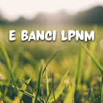 E Banci LPNM