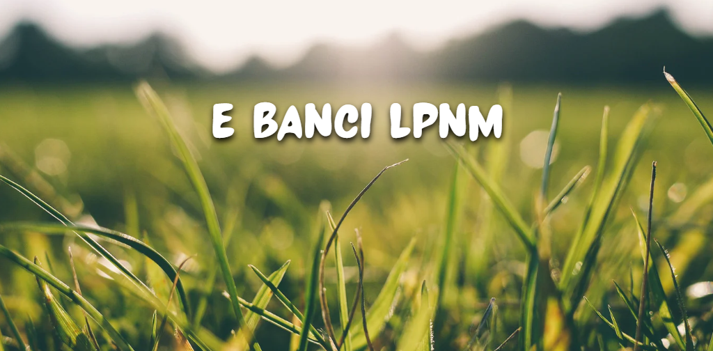 E Banci LPNM