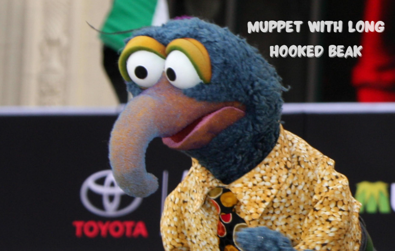 Muppet with Long Hooked Beak