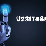 u231748506