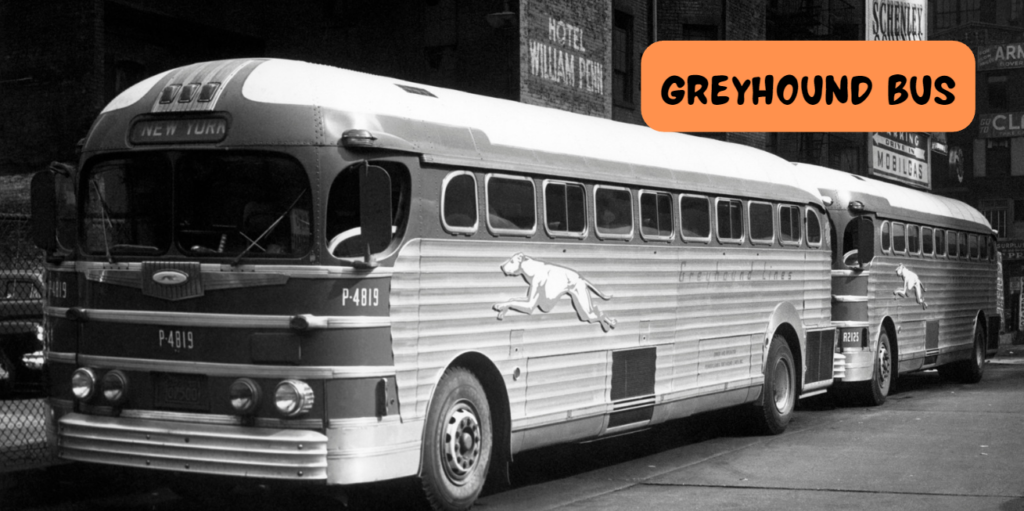 Greyhound Bus