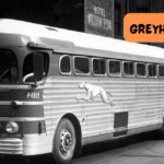 Greyhound Bus