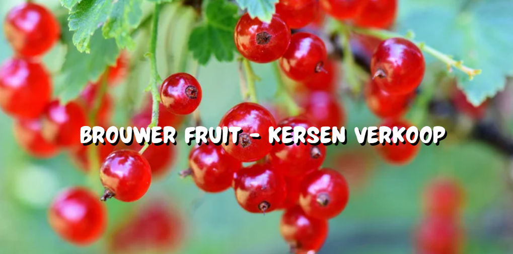 brouwer fruit - kersen verkoop