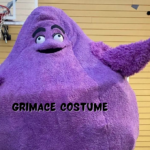 Grimace Costumes