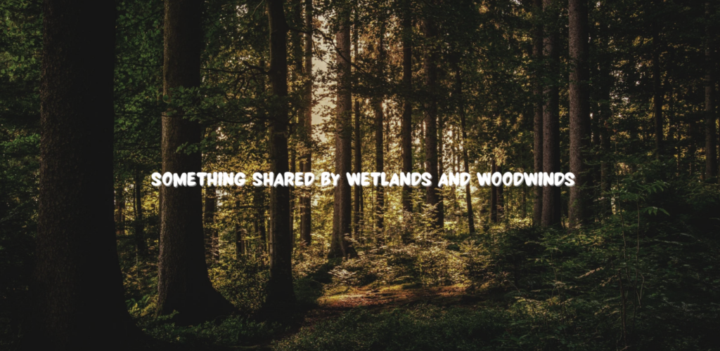 Something Shared by Wetlands and Woodwinds