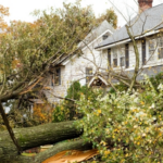 What to Do After Storm Damage – 5 Steps