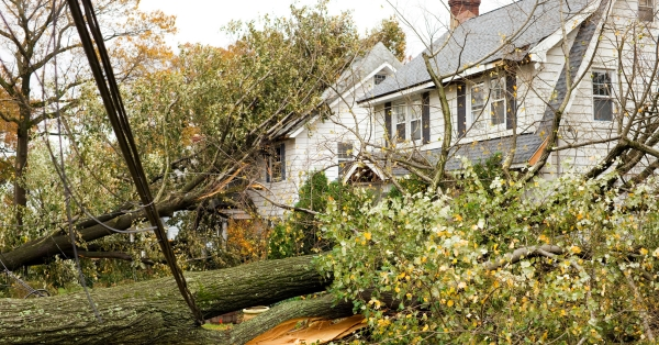 What to Do After Storm Damage – 5 Steps