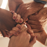 Building Allies: The Power of Collaborative Relationships in the Workplace