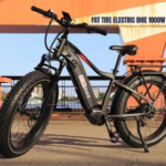 Fat Tire Electric Bike 1000W