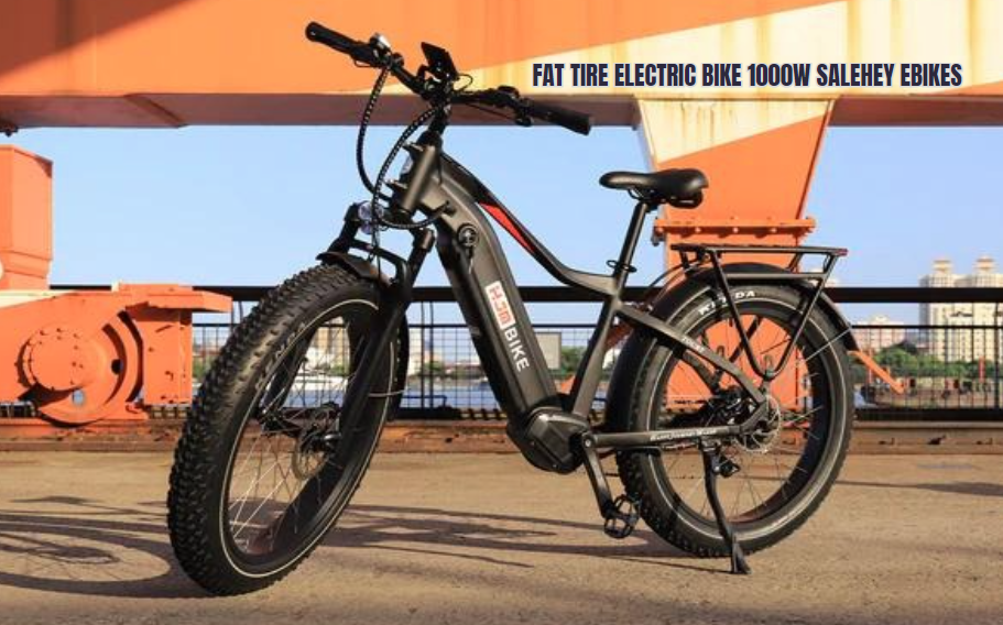 Fat Tire Electric Bike 1000W