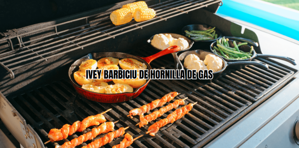 ivey barbecue de hornilla de gas